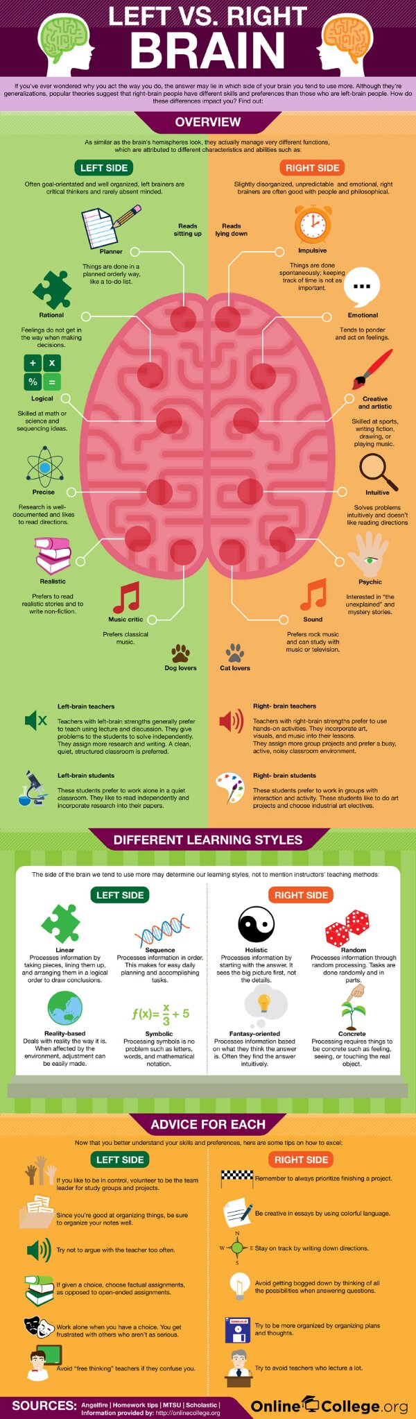 Left Vs Right Brain, Characteristics / Abilities / Style Overview